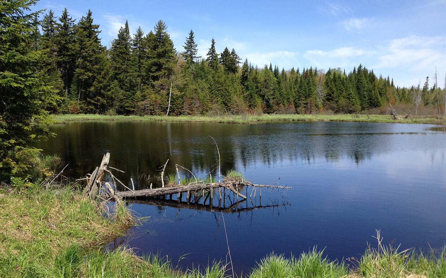 Moosehead Lake, Maine Activities, Views & Adventure