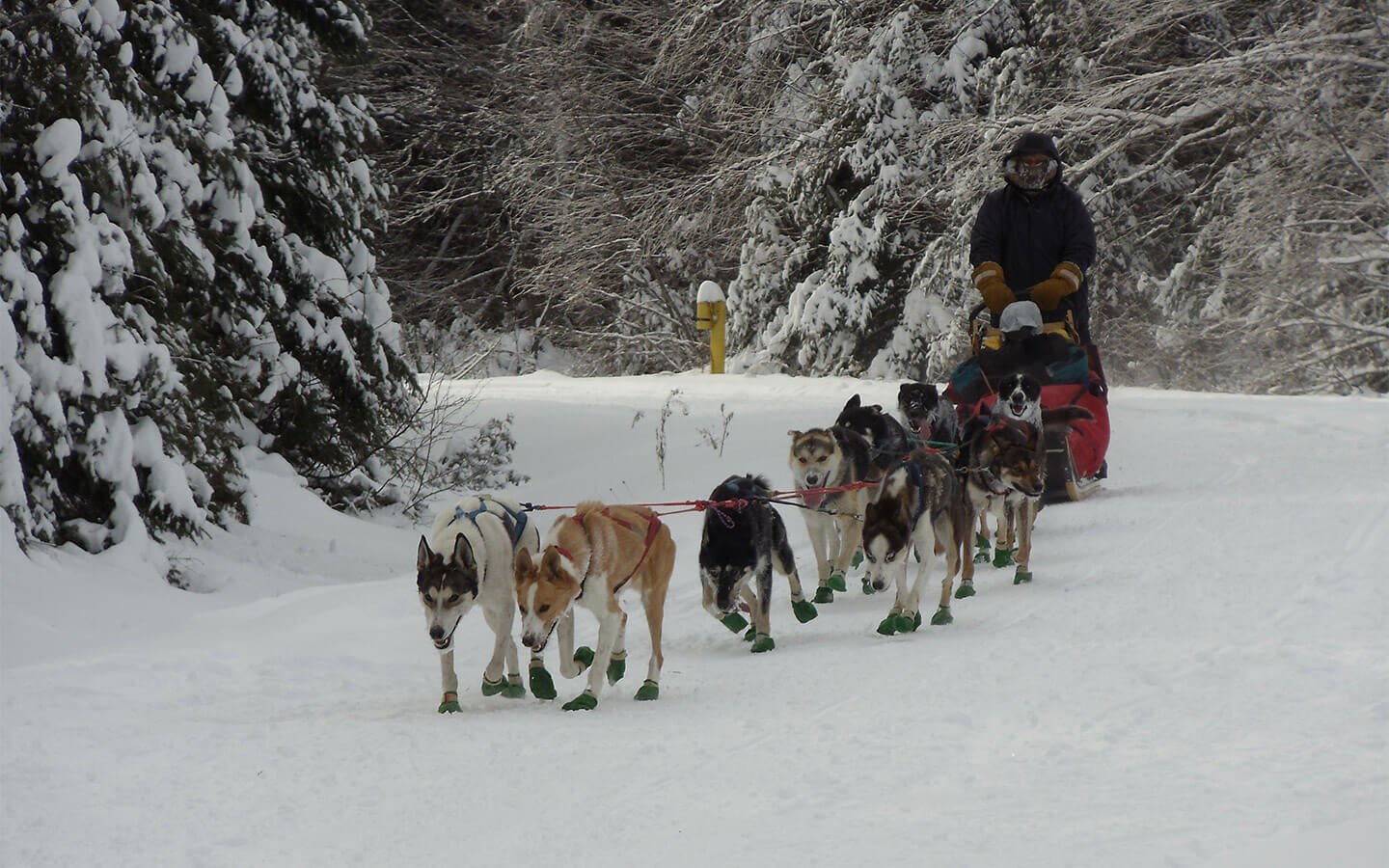 Maine Winter Getaways :: Dog Sledding, Snow Shoeing & More