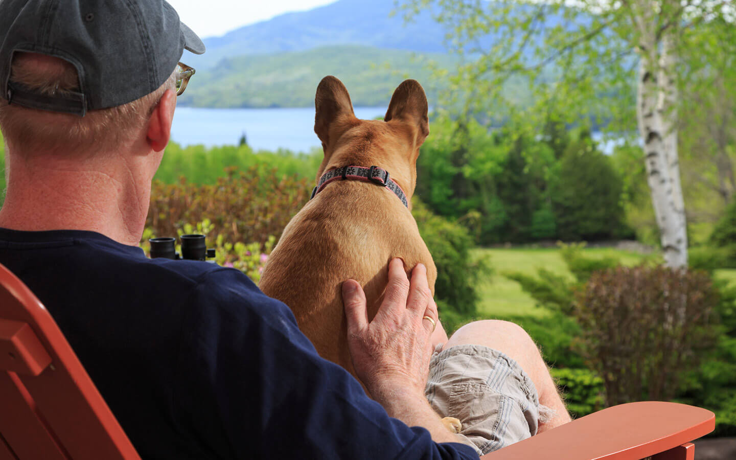 Maine Pet Friendly Lodging Moosehead Lake Inn