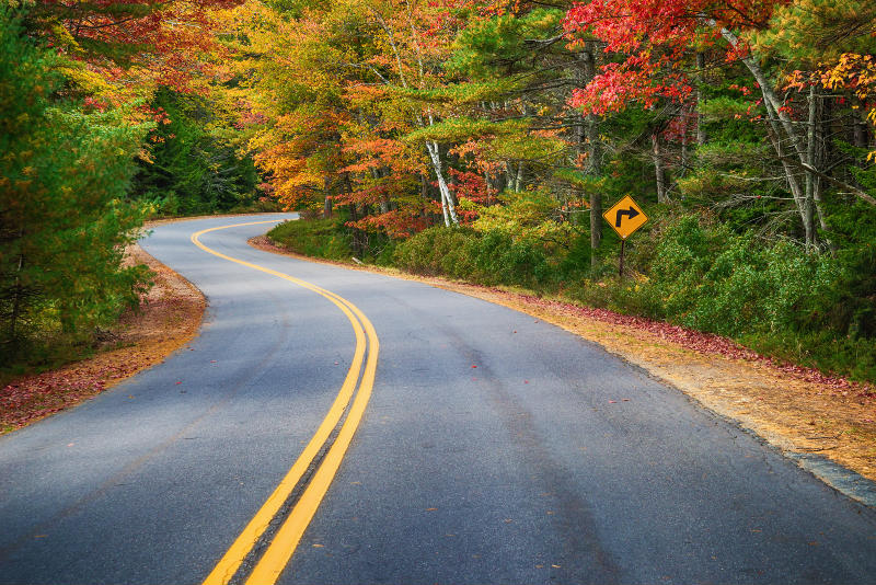 Winding Road with Fall Foliage