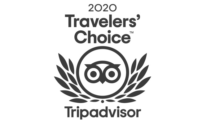 2020 Travelers' Choice TripAdvisor logo