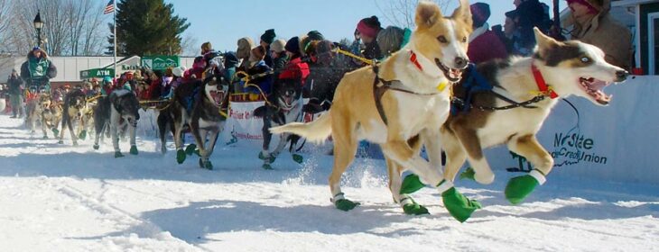 The annual Moosehead Lake Area Wilderness Sled Dog Race
